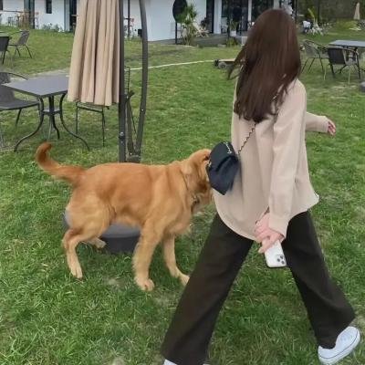 姐姐的私厨